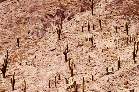 Expedicao-Atacama (14)