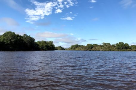 expedicao-pantanal-2019 (26)