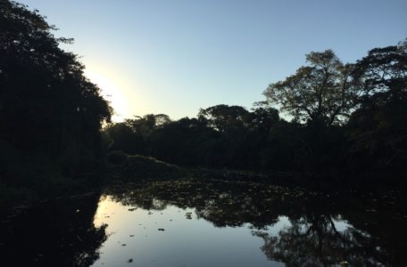 expedicao-pantanal-2019 (30)